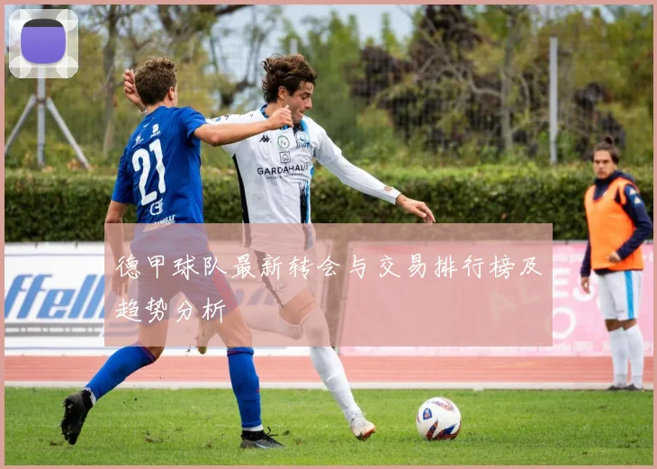 德甲球队最新转会与交易排行榜及趋势分析